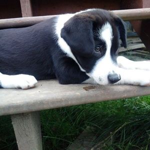 Meet your Posher, Shaylen